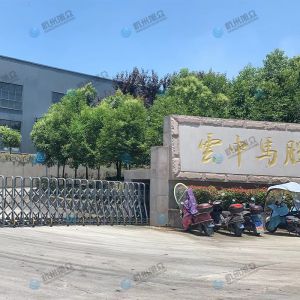 松陽的客戶，調(diào)試30型包子機(jī)完成！