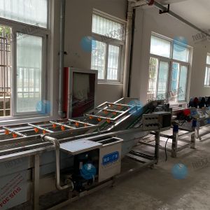果蔬氣泡清洗機風(fēng)干流水線多少錢？